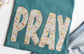 BIG PRAY applique Comfort Colors T-shirt