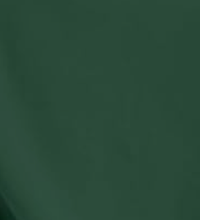Mockneck Satin Stitch + Neckline Word